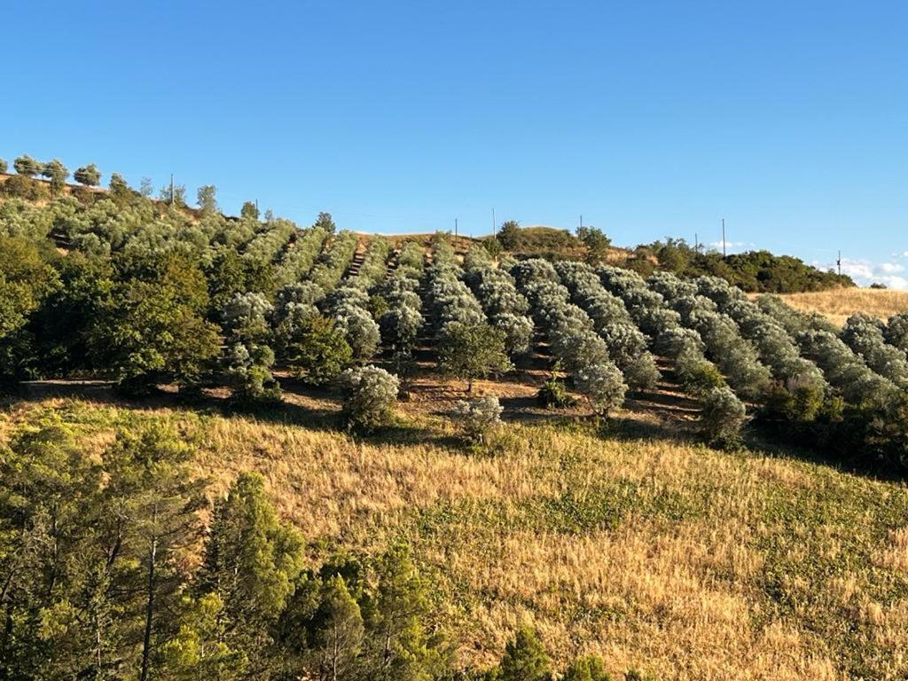 Antica Colombaia Daire Volterra Dış mekan fotoğraf